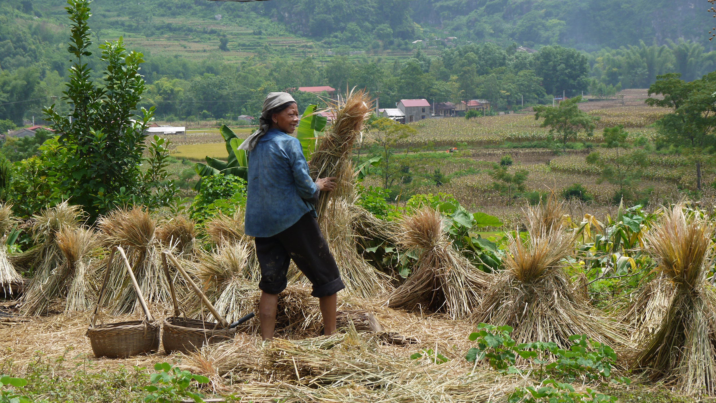 Ethnic minority farmer in upland Vietnam